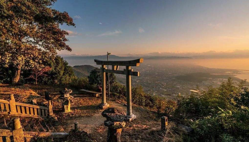 日本中学生留学