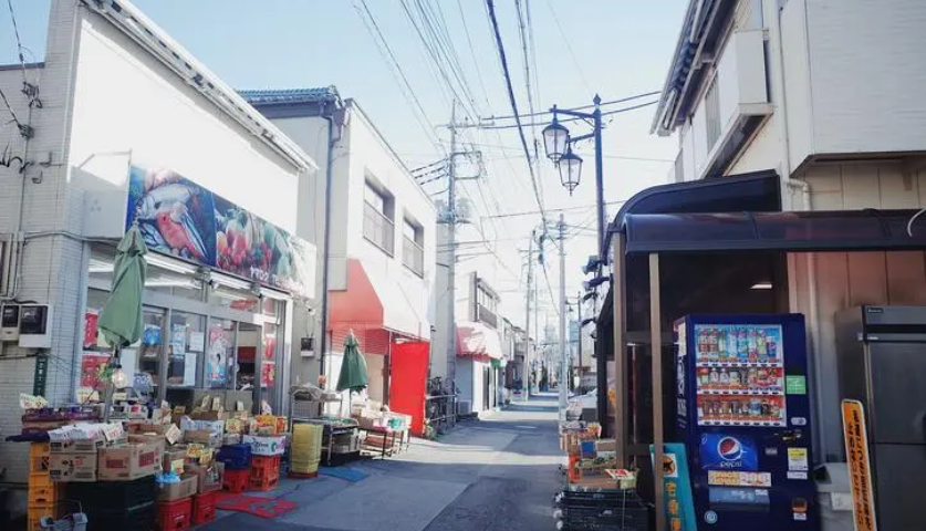 日本中学生留学
