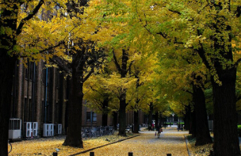 年纪小去日本留学的优势