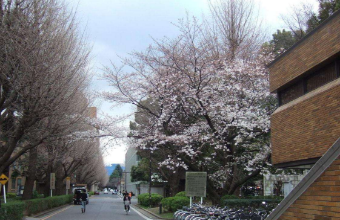 在日本读高中的相关内容了解一下！