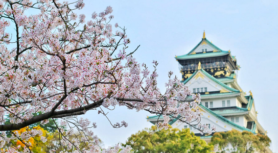 留学日本高中：选择合适留学方案，开启成功之旅