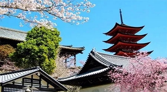 日本中学生留学：开启国际教育之旅