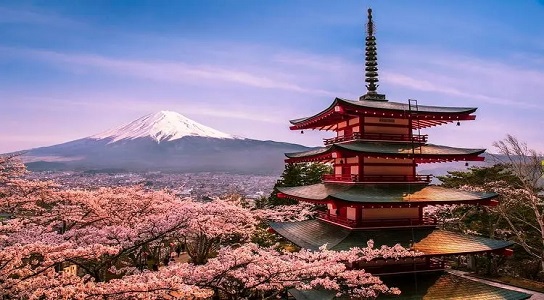 解析中学生日本留学费用，全面考量经济实力