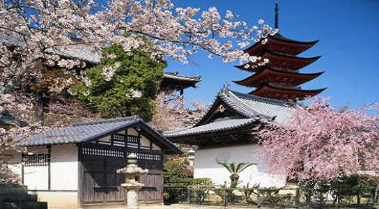 日本高中留学条件解析及指南